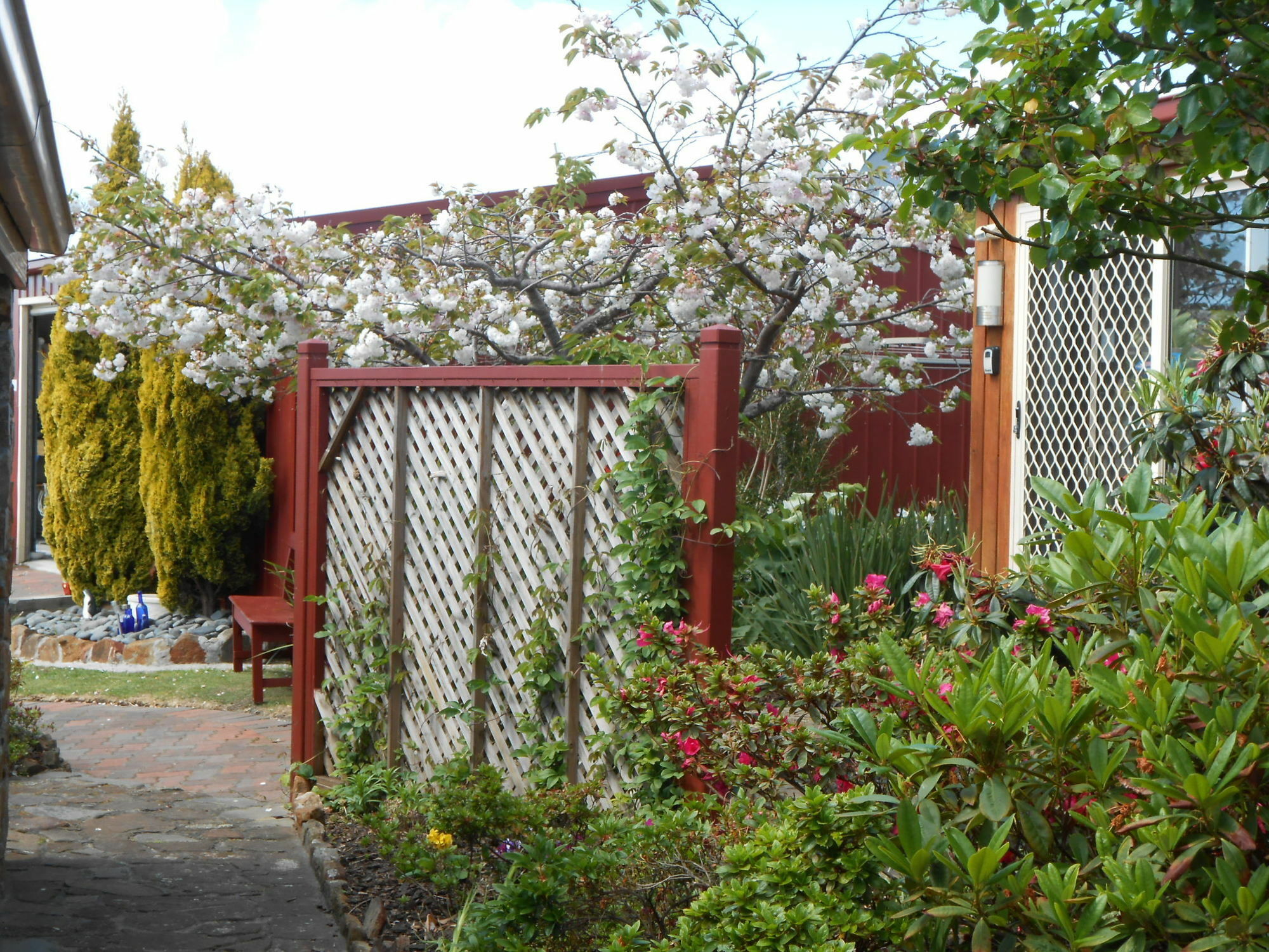 The Penguin Room - Tidelines Of Bicheno Exterior foto